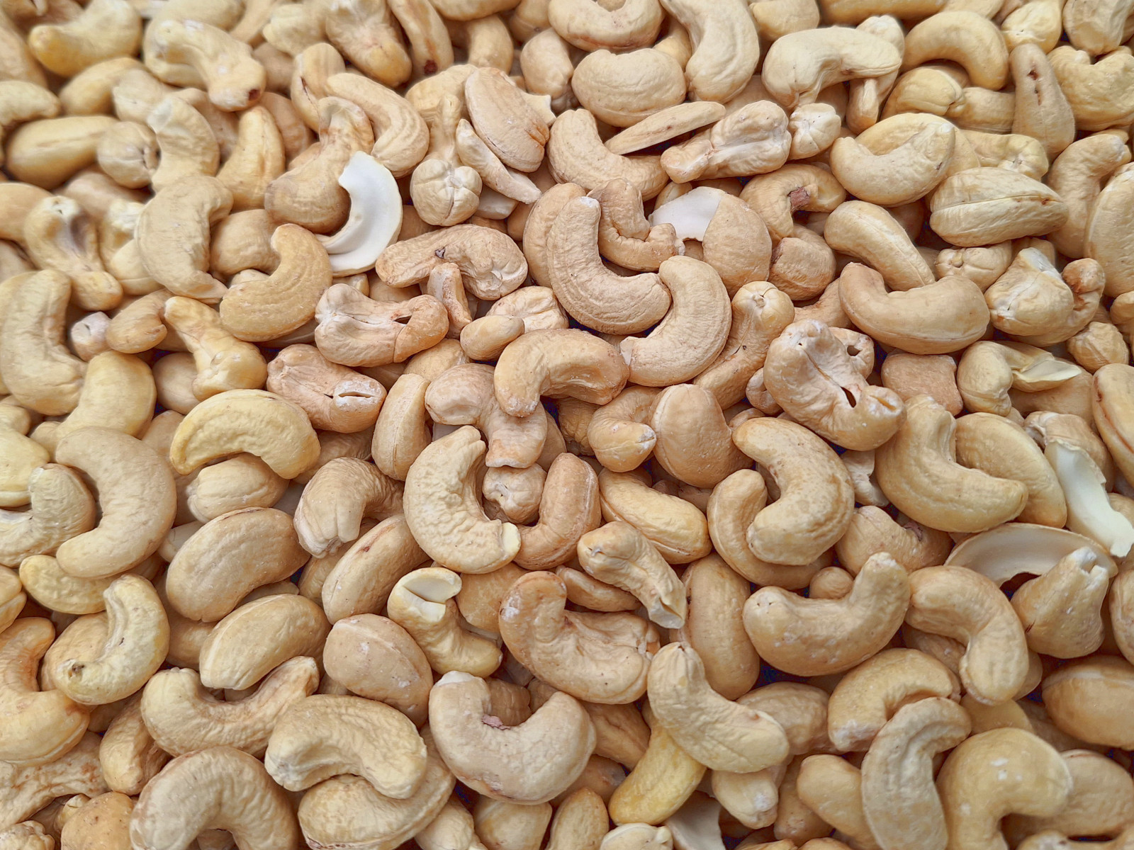 Cashew Whole