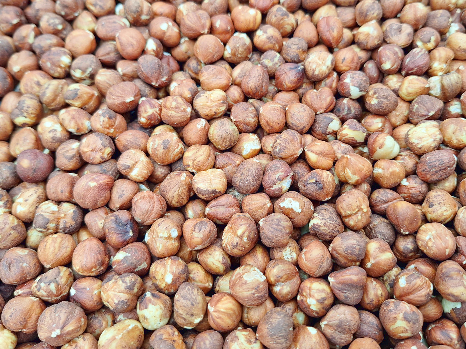 Hazelnut Whole Skin On