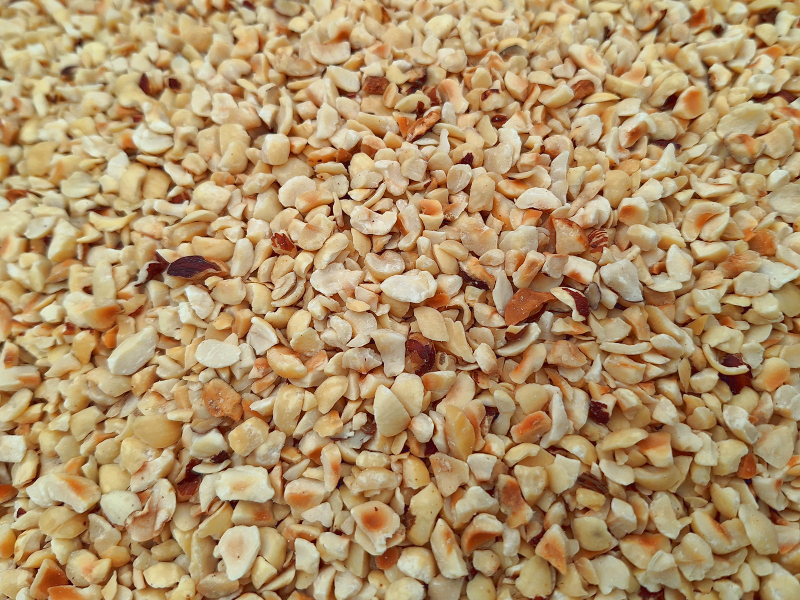 Hazelnuts Nibbed