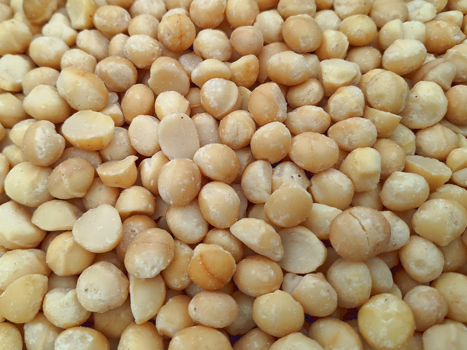 Macdamia Nuts