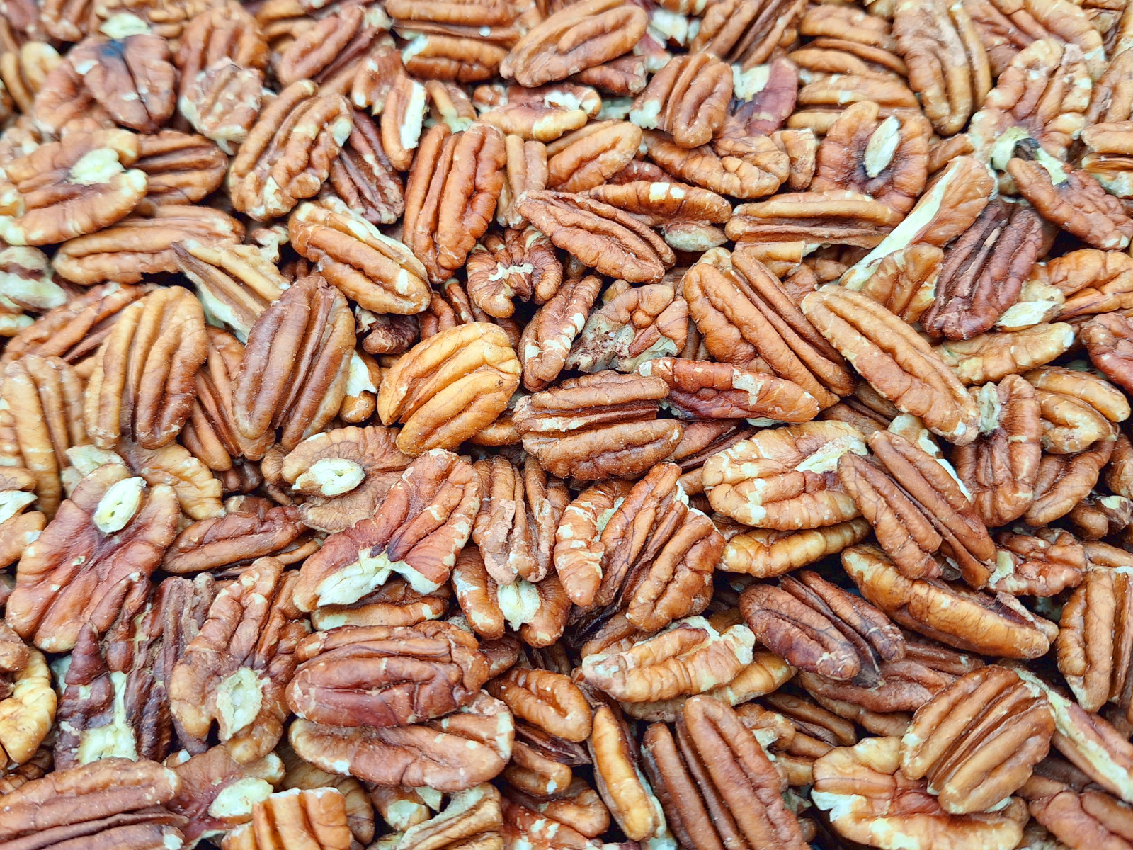 Pecan Nuts